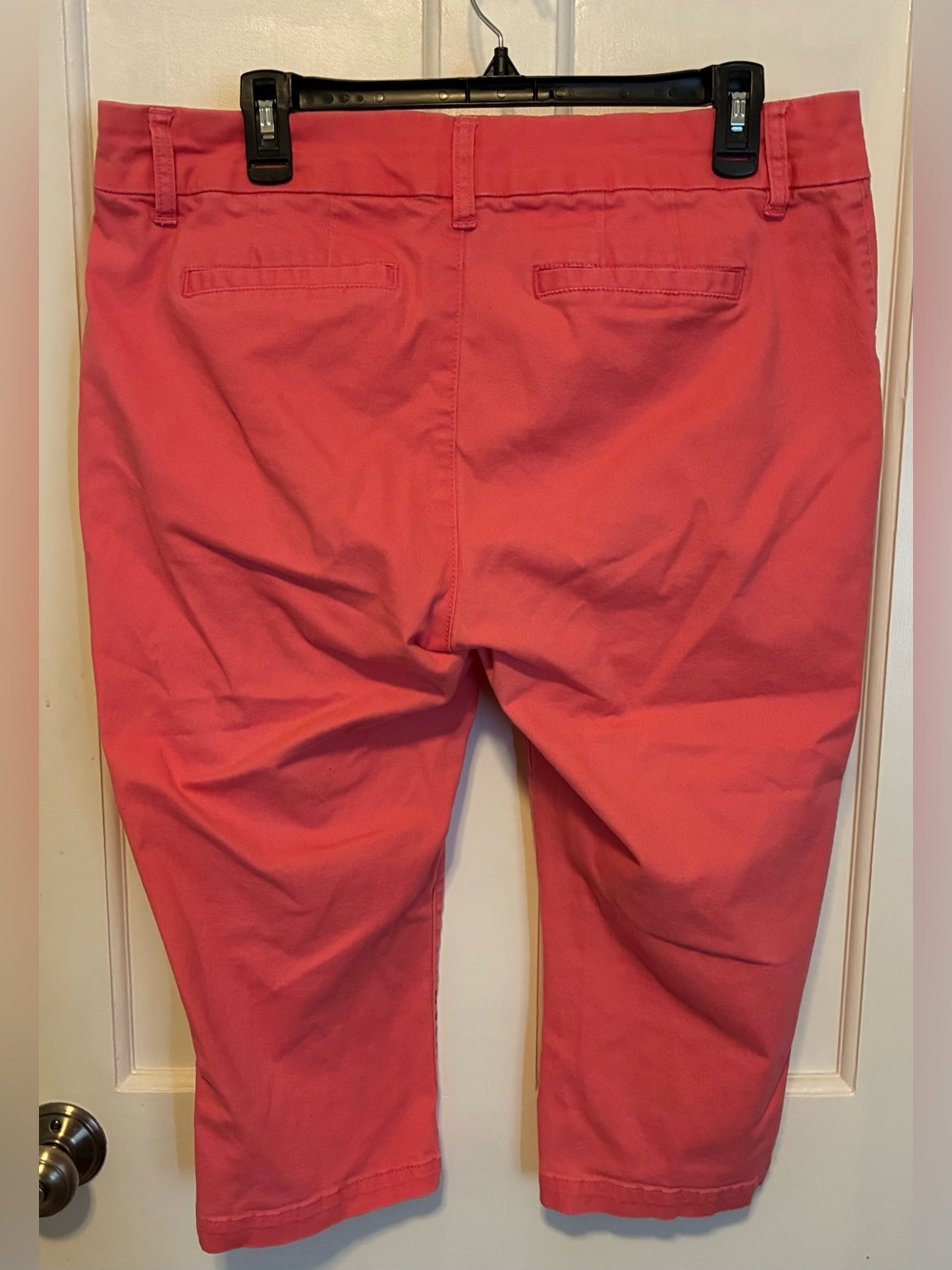 Market & Spruce Maylee Coral Capri Pants - Picture 2 of 3